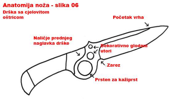 Anatomija nova 05.JPG