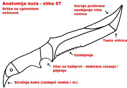 Anatomija nova 06.JPG