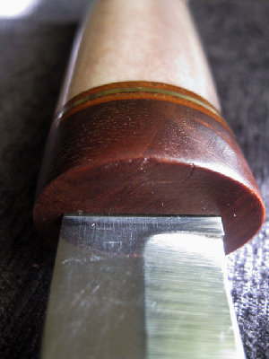 Polar77-(3)web.jpg