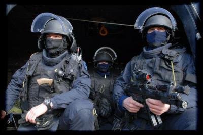 gign.jpg