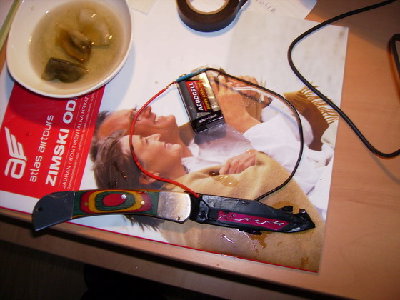 P1010071.jpg