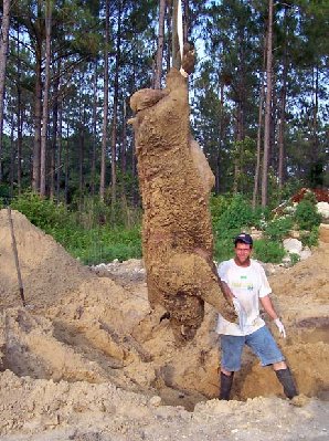 hogzilla2.jpg