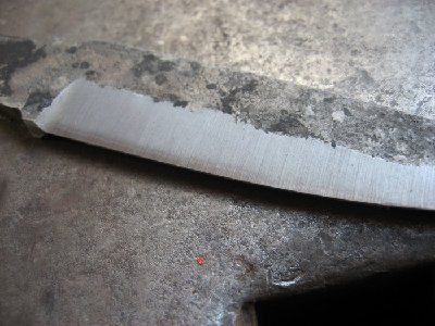 44.jpg