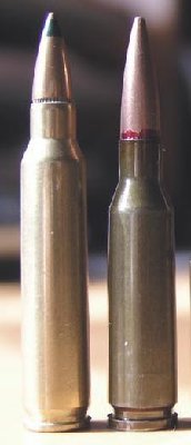 AMMO.jpg
