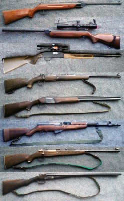 Rifles.jpg