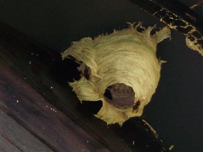 P8240009.JPG