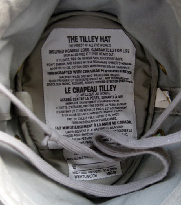 Tilley (2).JPG