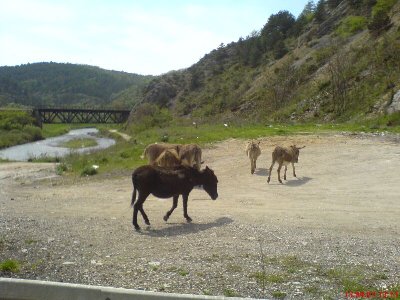 Knin.JPG