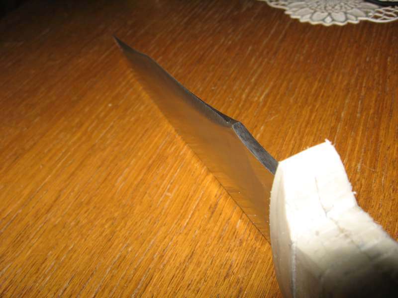 Radule05.jpg
