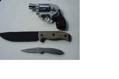 RAT-7.JPG
