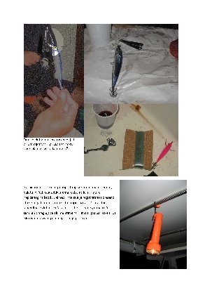 lig_Page_3.jpg