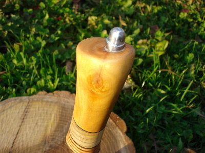 DSC00666.jpg