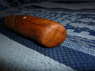 P1000073.jpg
