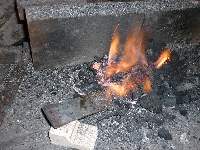 P1000204.JPG