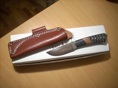 Woodland Special 1.jpg