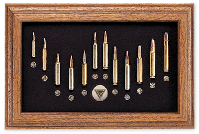 collectibles_cart_board.png (335.29 KiB) Viewed 579 times Cartridge board