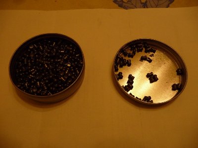 P1010629.jpg
