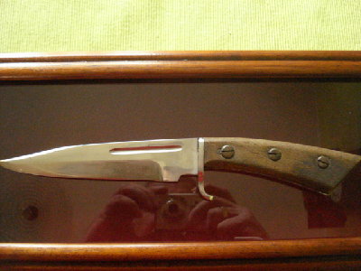 DSC00100.JPG