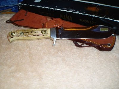 Puma WH2.jpg