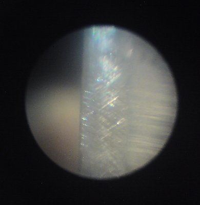 600.JPG