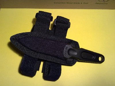 1f.jpg