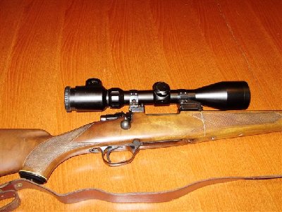 CZ223-1.JPG