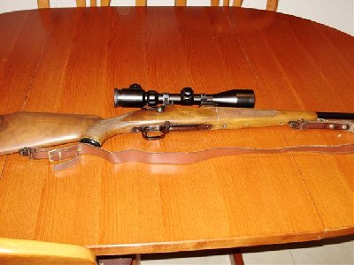 CZ223-2.JPG