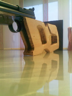 5 crosman 1377.jpg