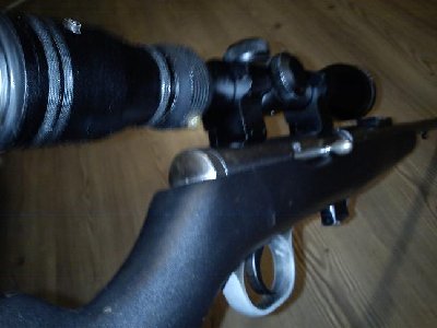 smanjena6.JPG